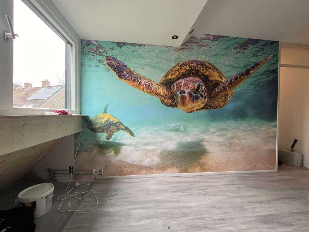 Sea turtle in the ocean