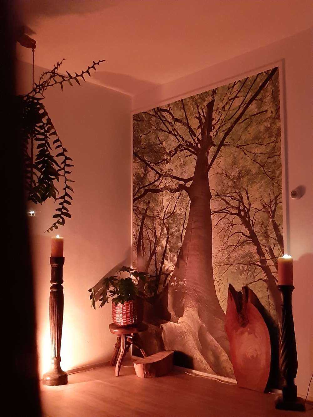 Large tree and roots