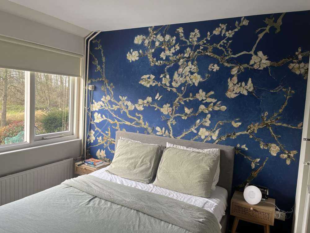 Almond blossom in the night