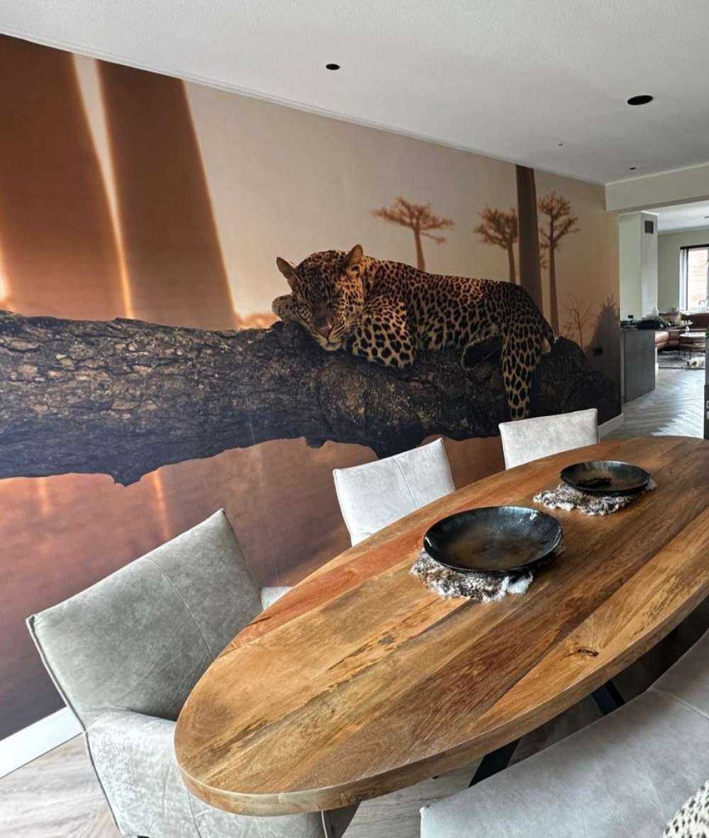 Sleeping leopard