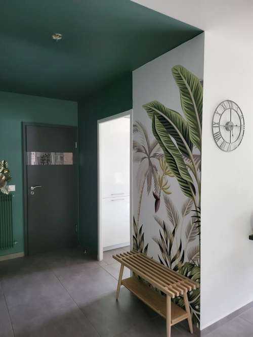 Jungle plants