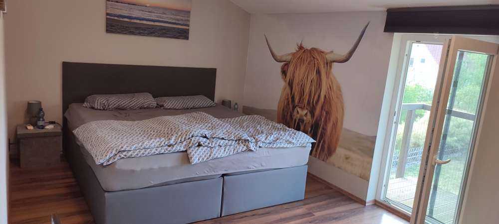 Close-up of a Scottish Highlander