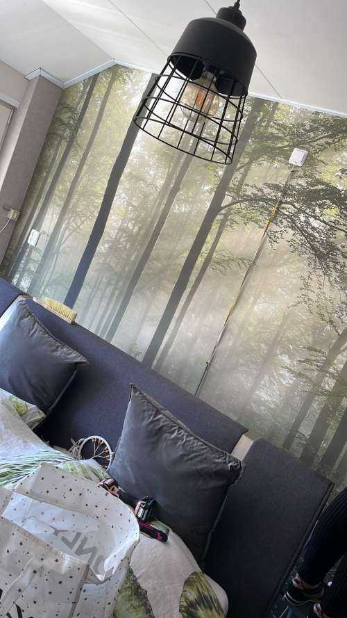 Green forest in the fog