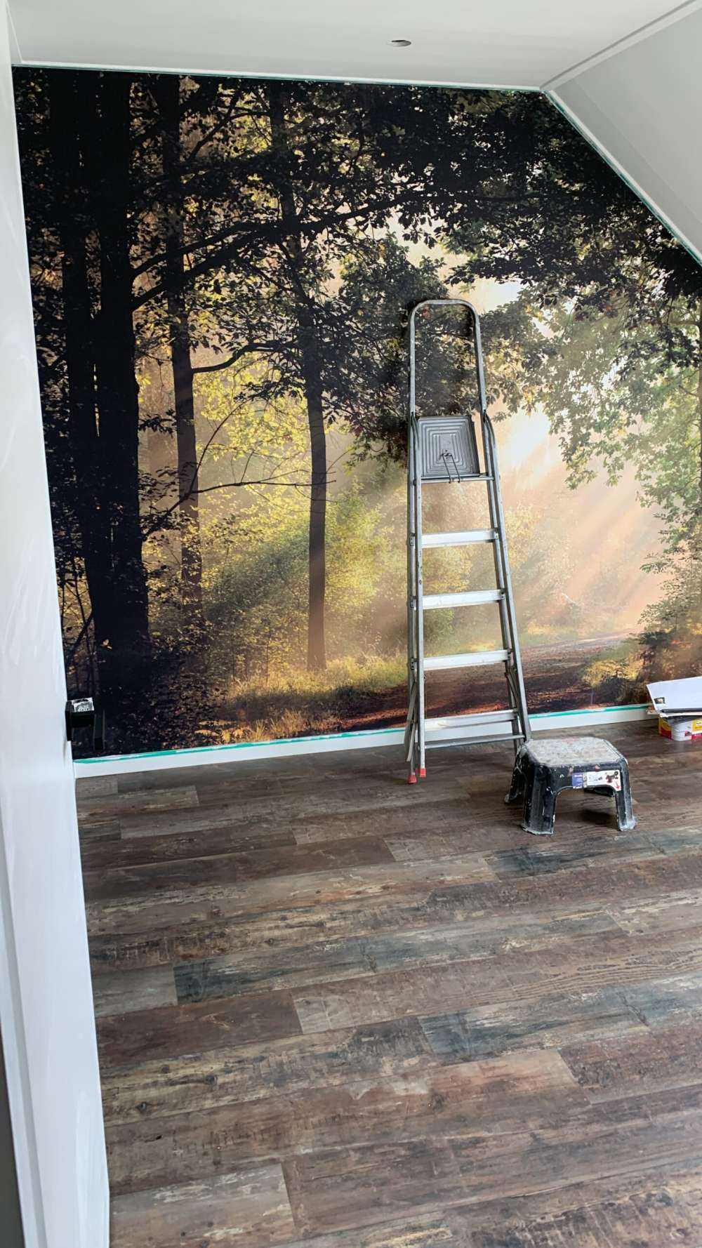 Misty spring morning