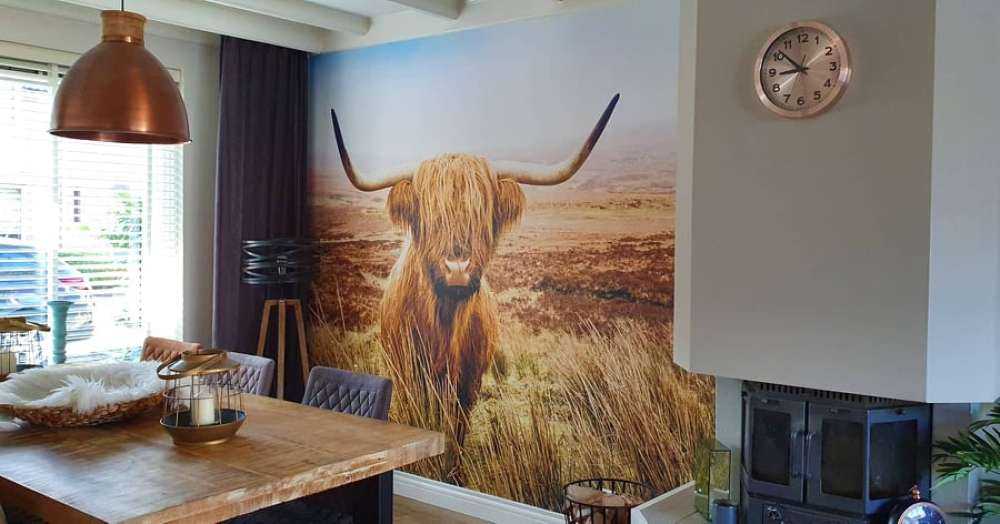 Scottish Highlander with reed