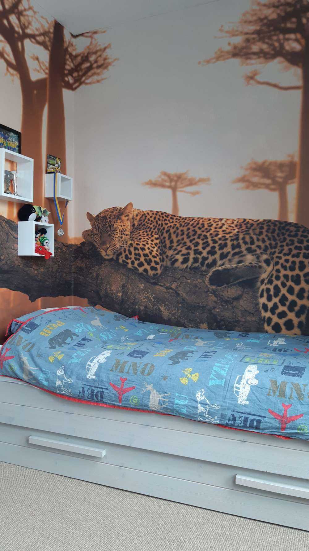 Sleeping leopard
