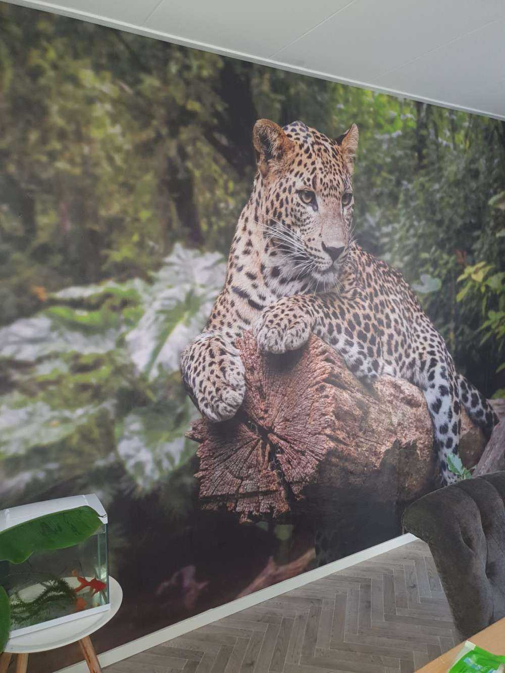 Leopard on tree