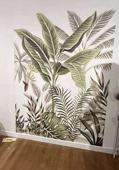 Jungle plants