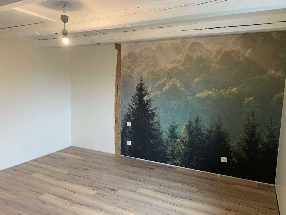 Sunbeams over the forest