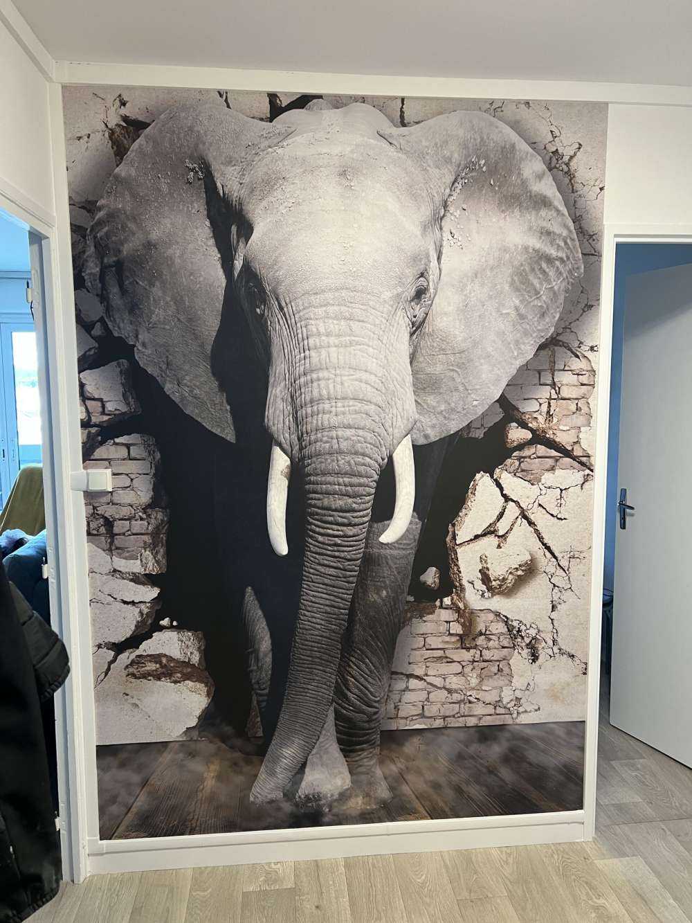 3D Elephant from the wall