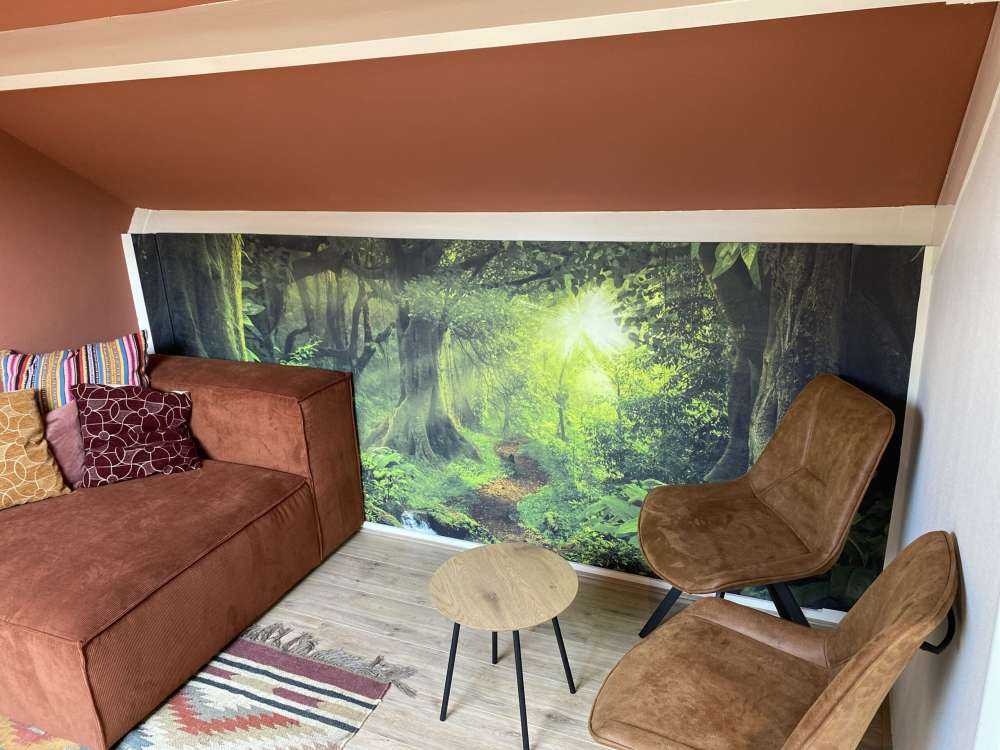 Tropical jungle with sunlight