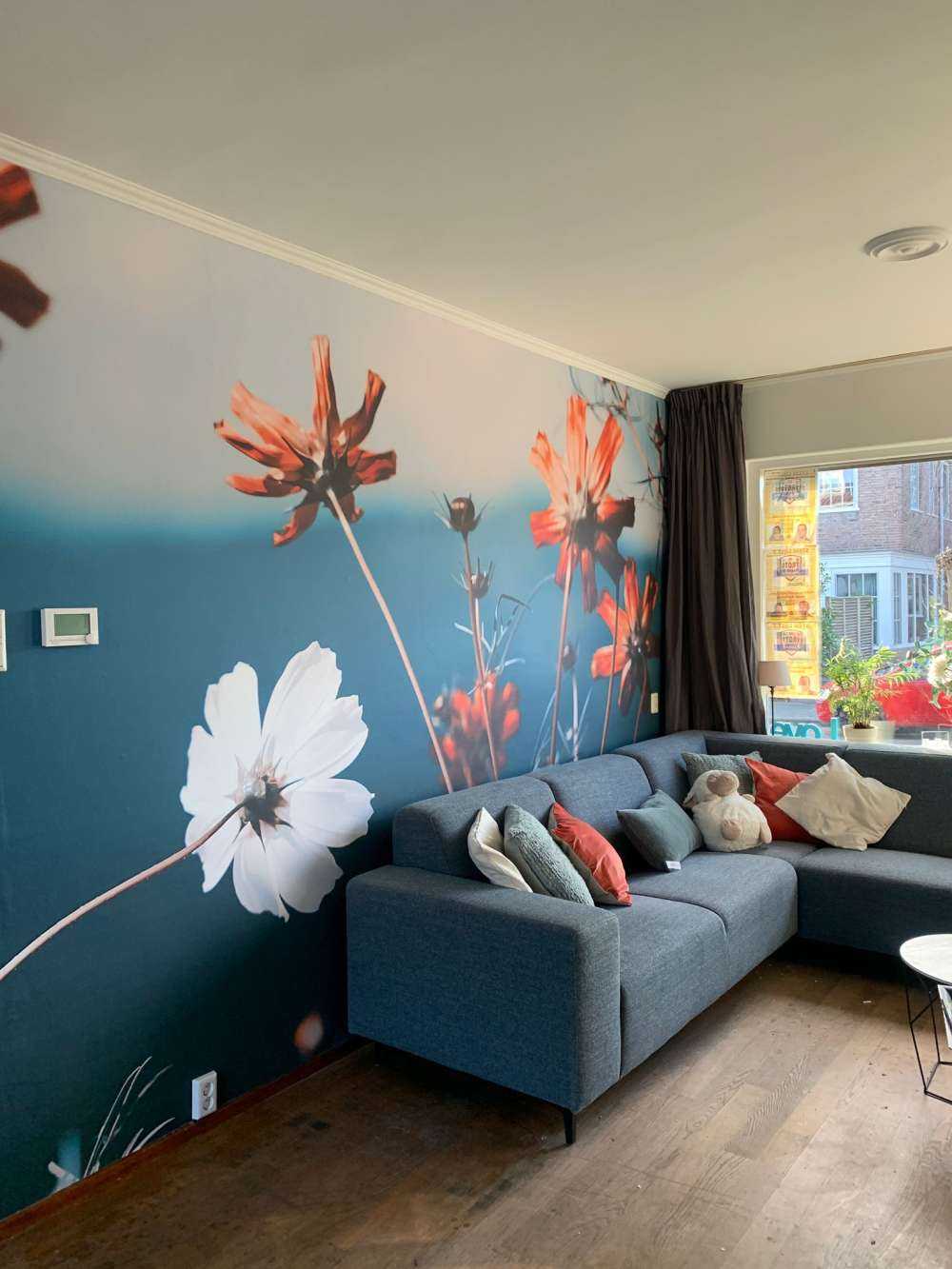 Cosmos flowers in the field