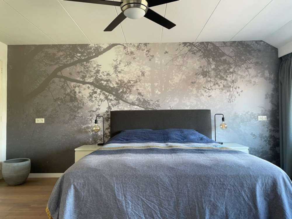 Beautiful forest in the fog