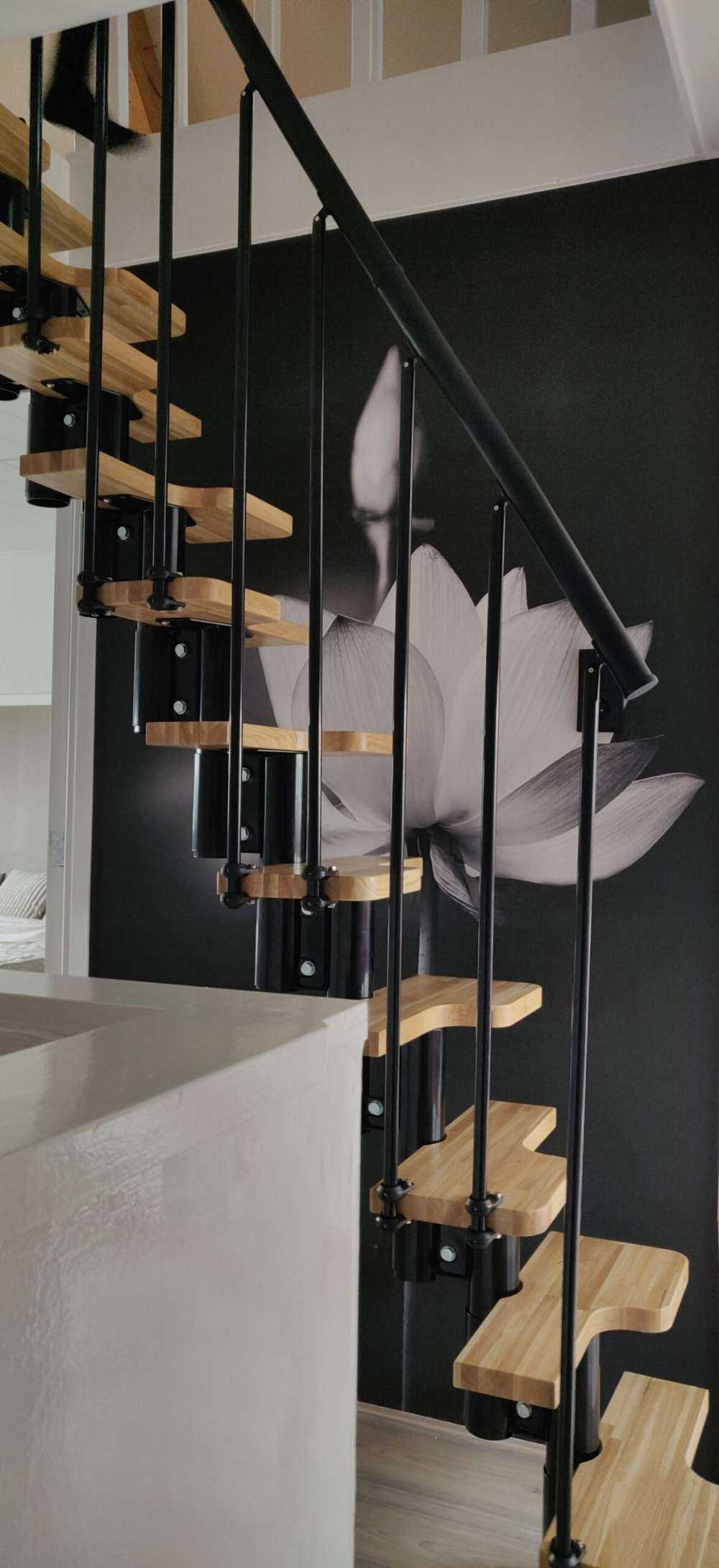 Lotus flowers black and white