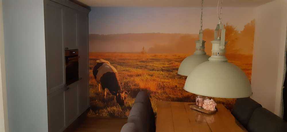 Grazing cow
