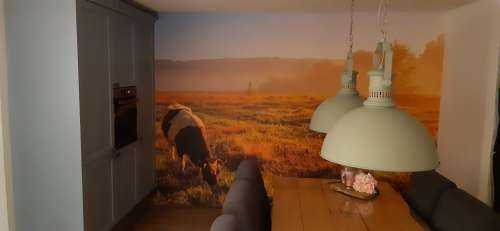 Grazing cow
