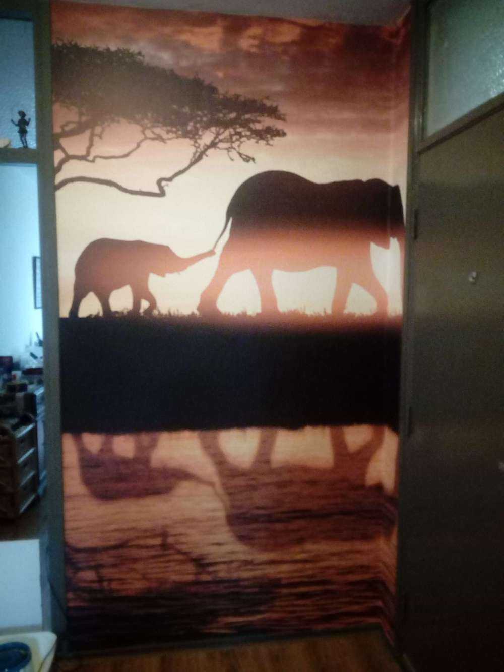 Elephants in savannah