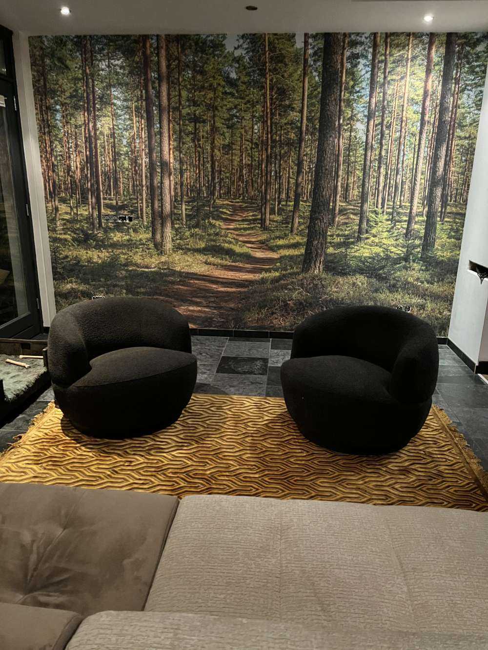 Footpath in pine forest