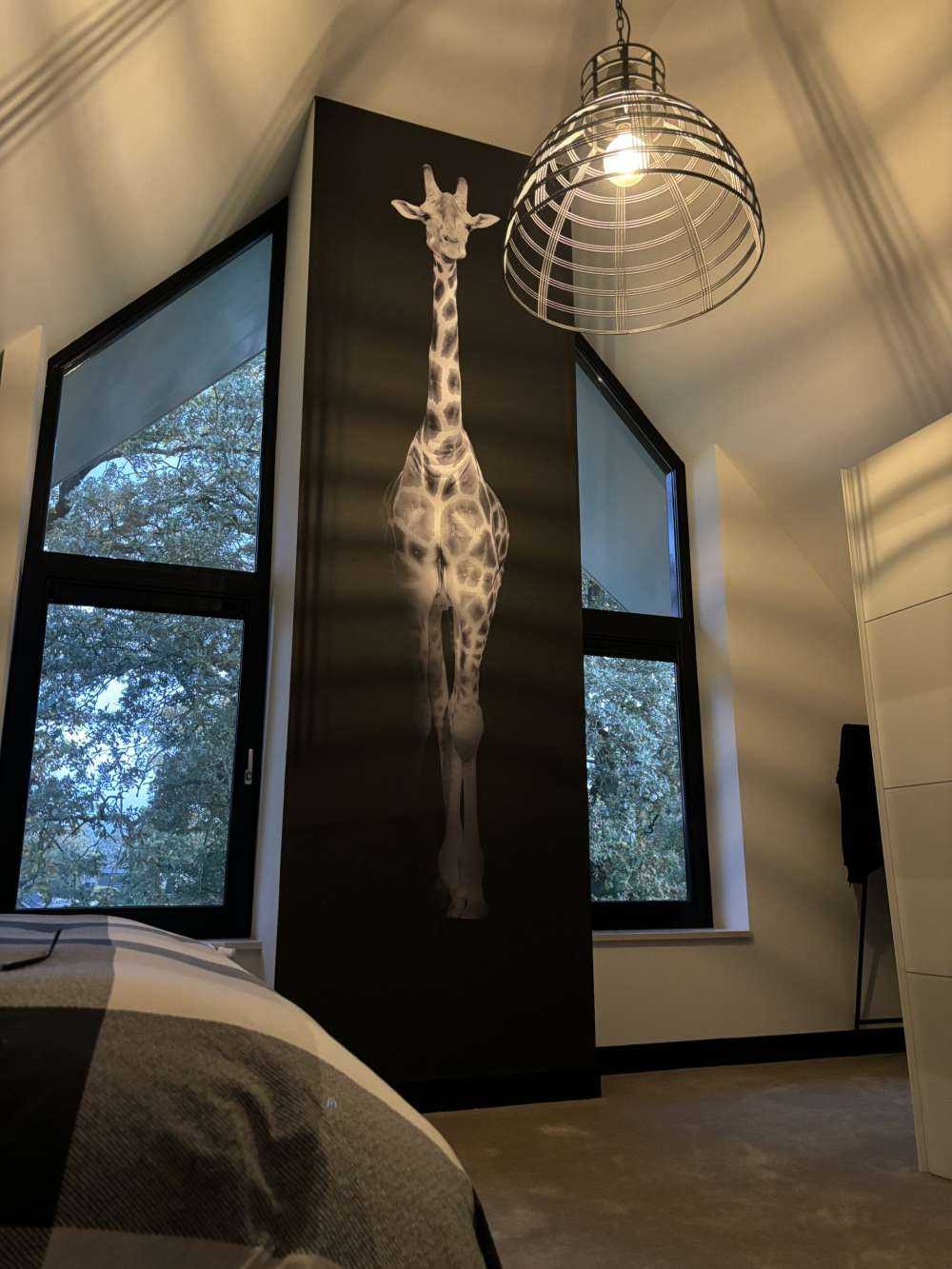 Giraffe black and white