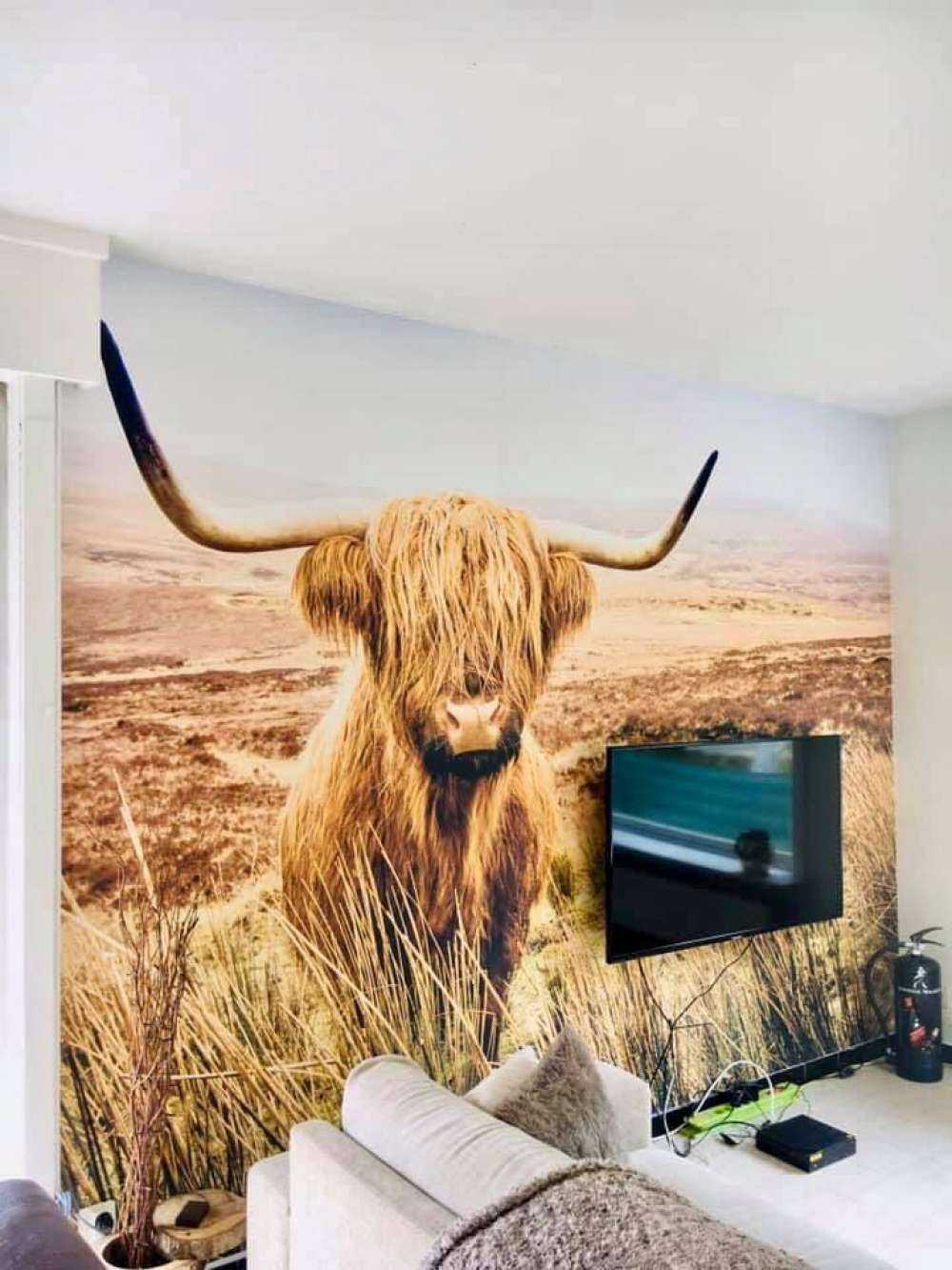 Scottish Highlander with reed