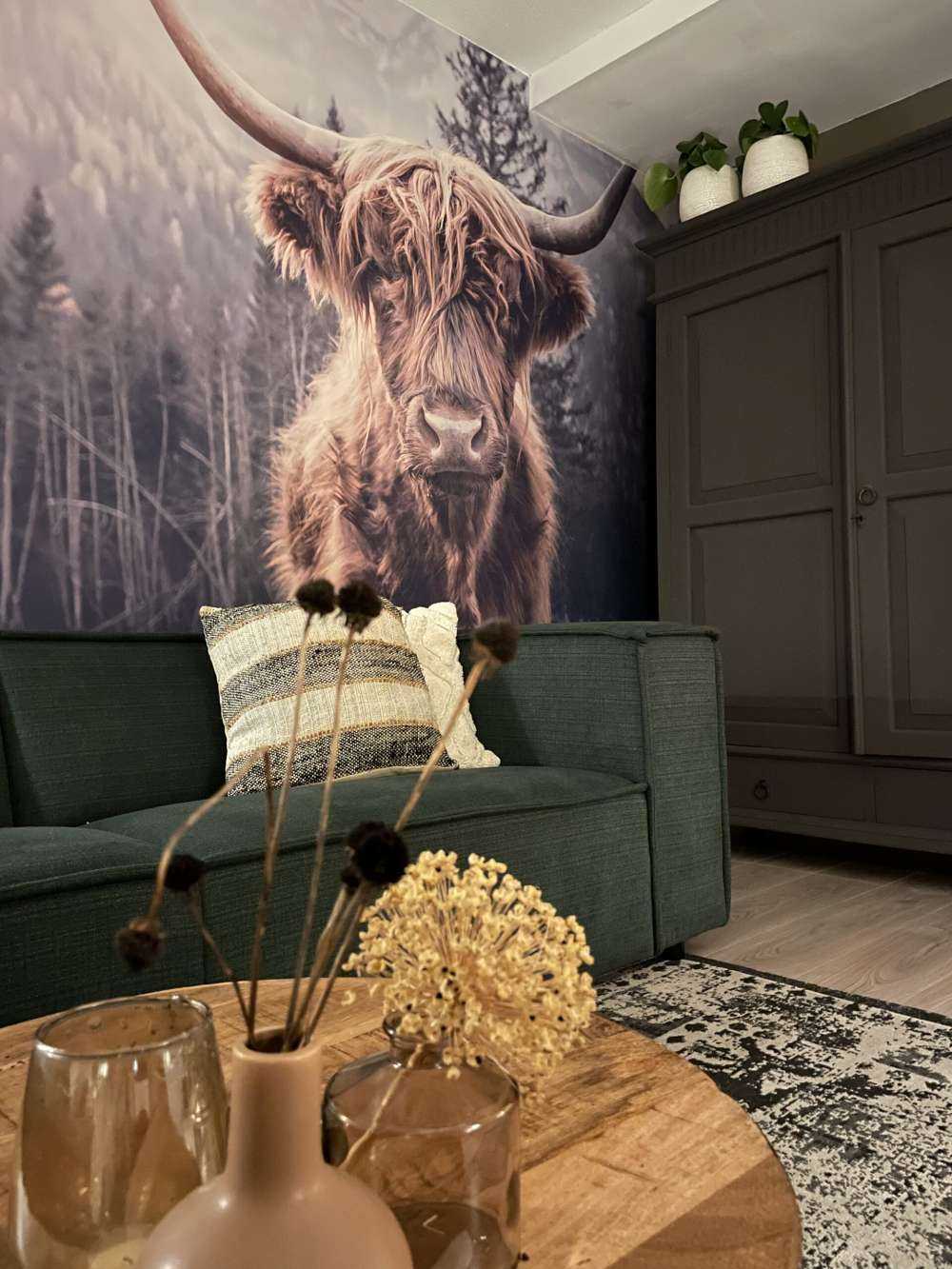 Scottish Highlander by the forest