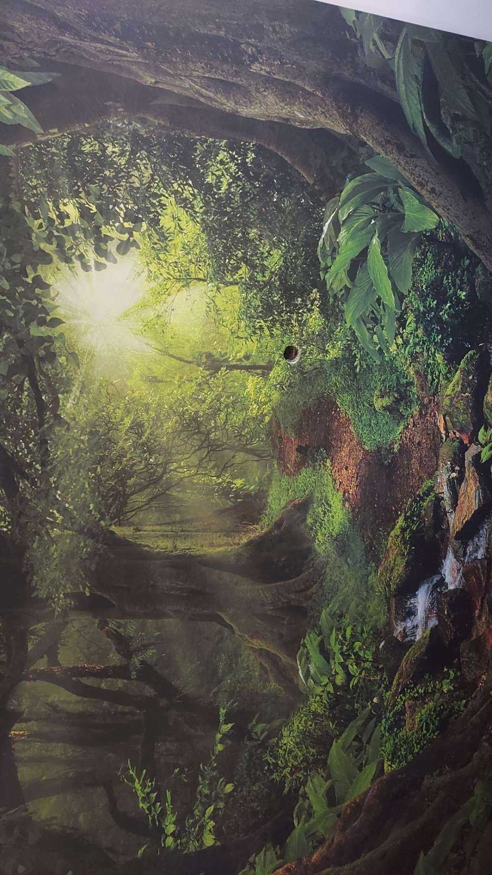 Tropical jungle with sunlight