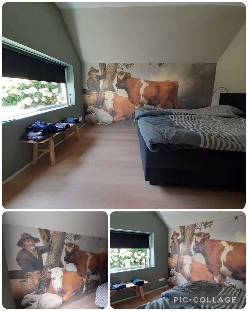 The bull
