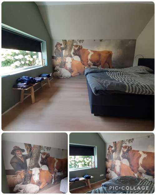 The bull