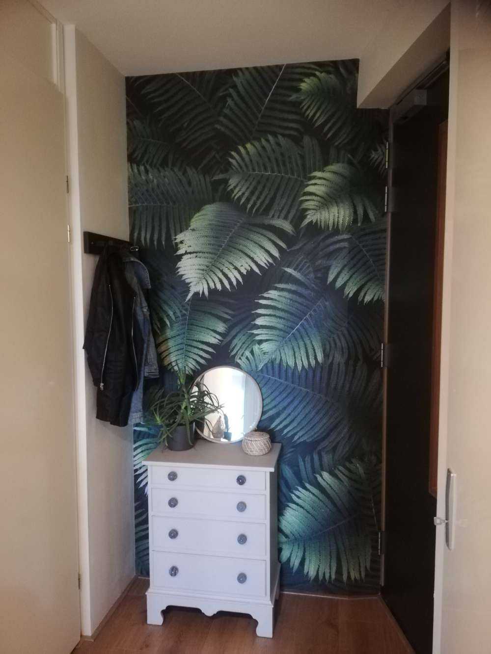 Large palm leaves