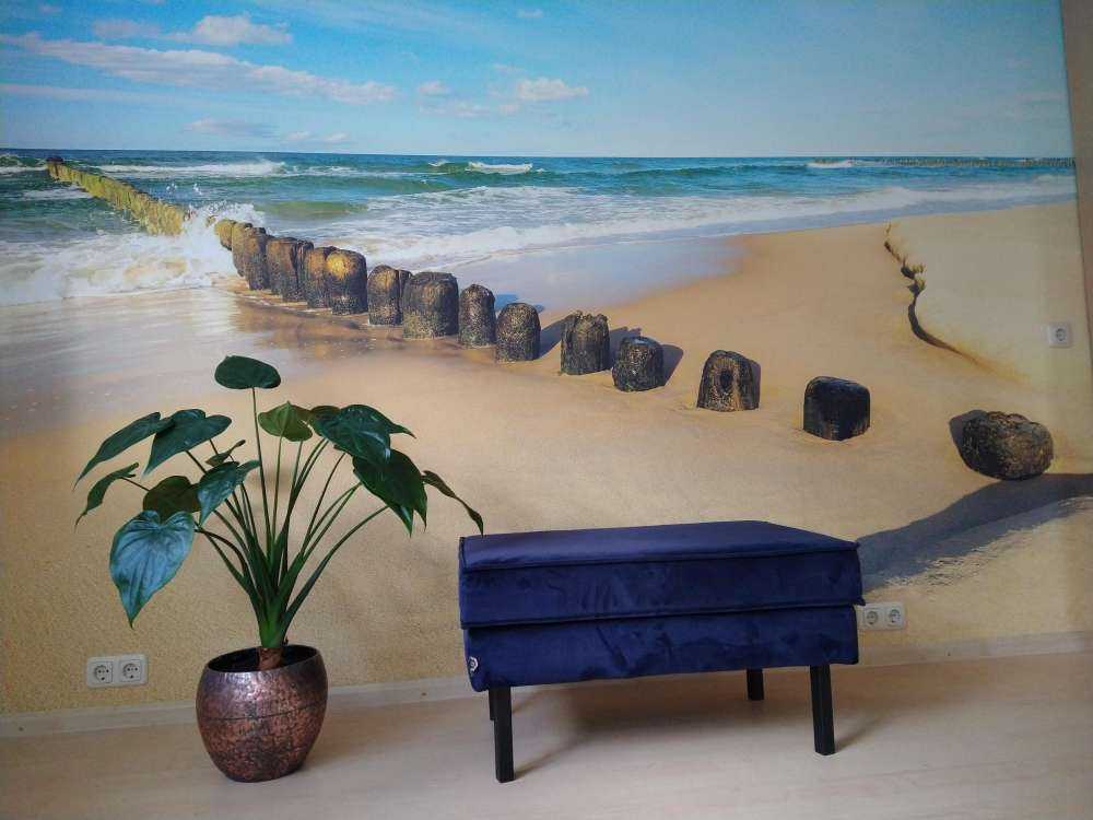 Beach at beautiful day