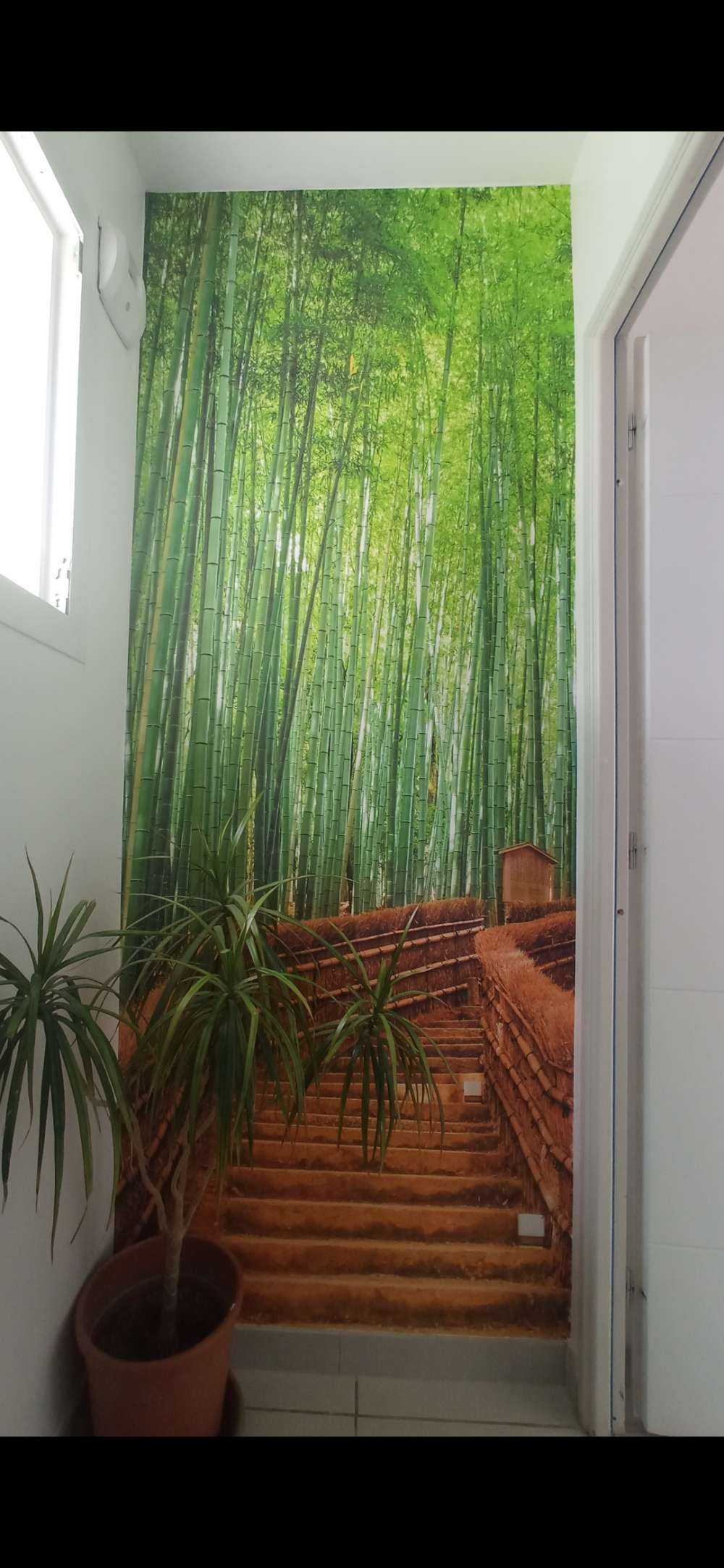 Staircase between bamboo plants