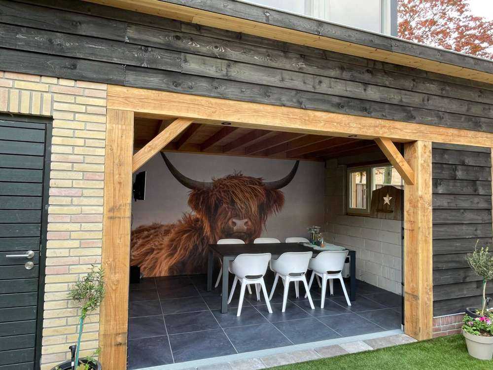 Staring Scottish Highlander