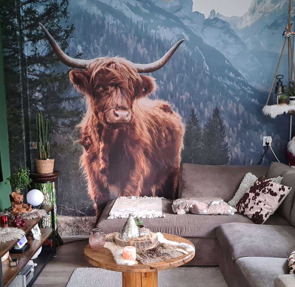 Scottish highlander among the trees