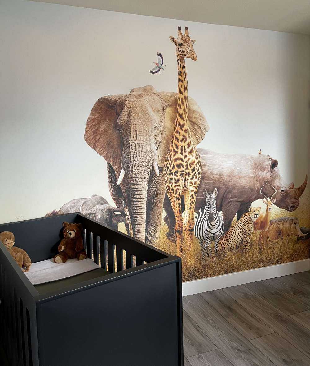 Animals in the savannah