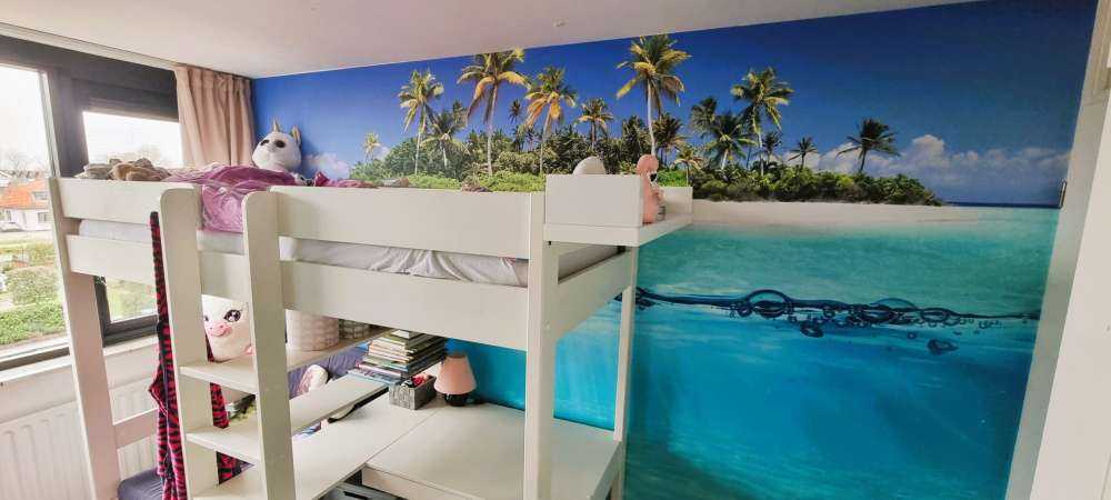 Tropical island and coral reef
