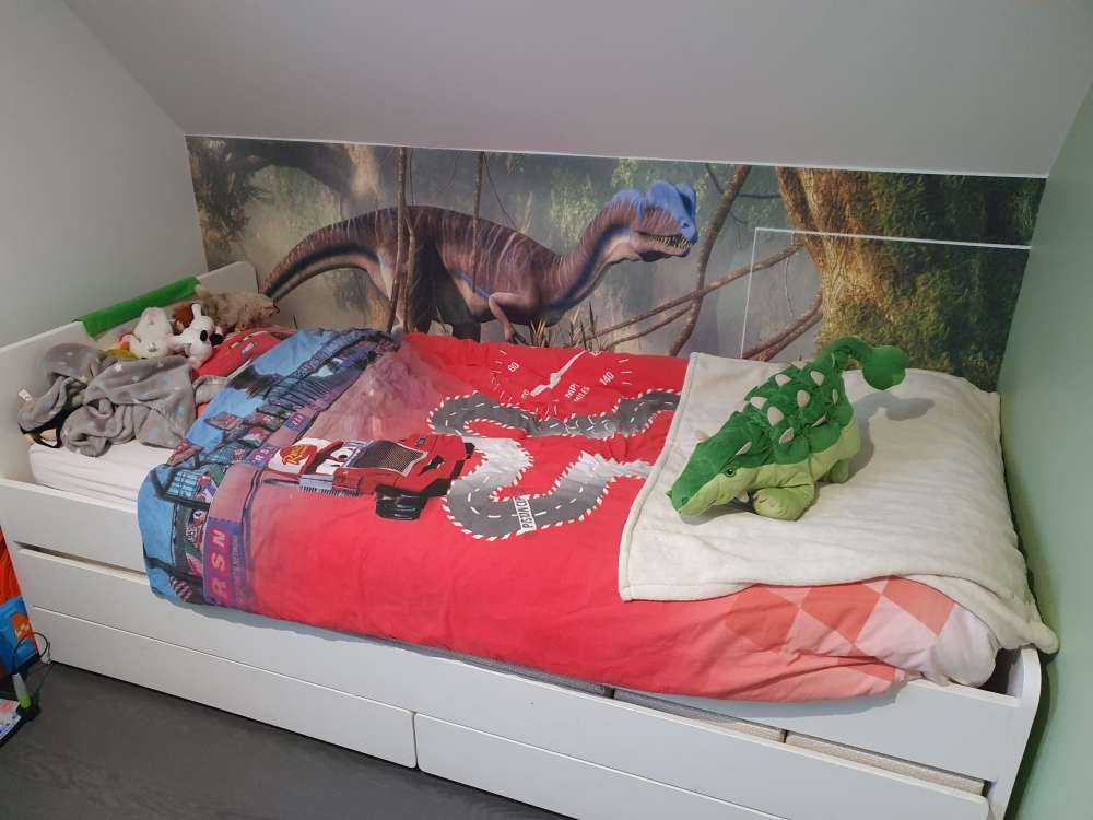 Dinosaurs in the forest