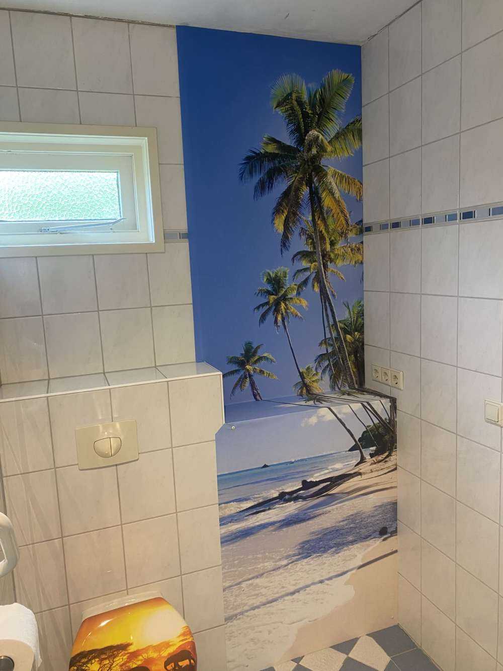 North coast of Trinidad