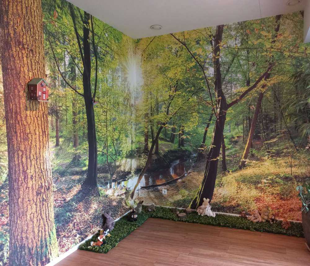 Forest with brook