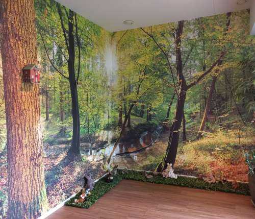 Forest with brook