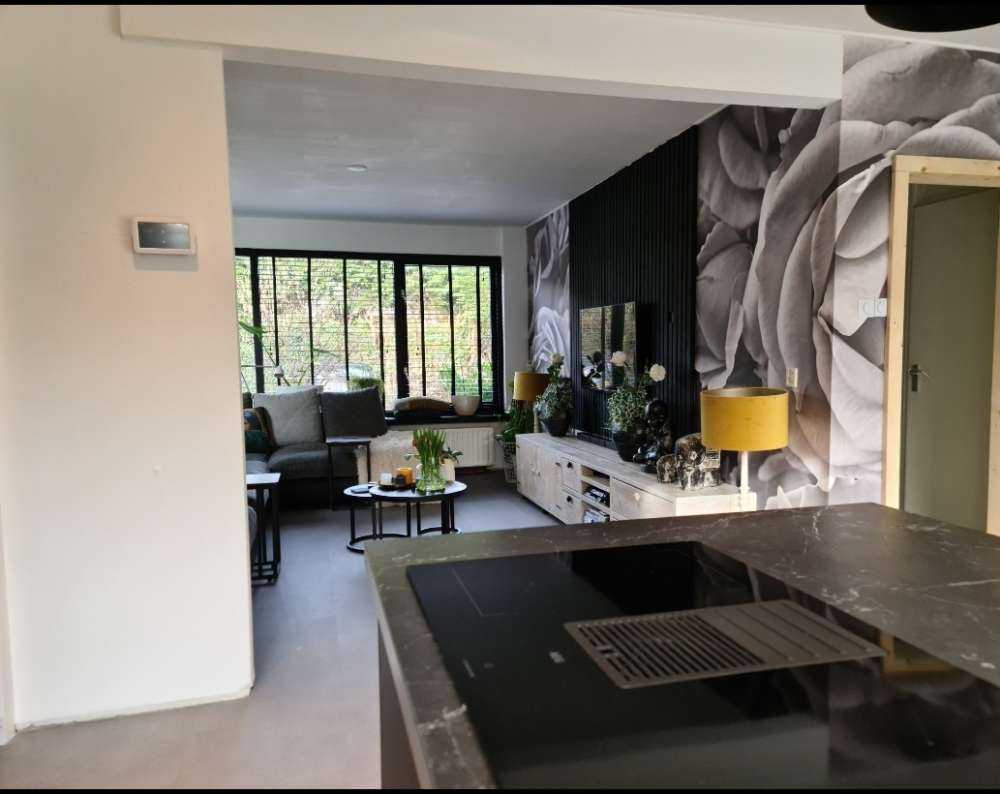 Roses black and white