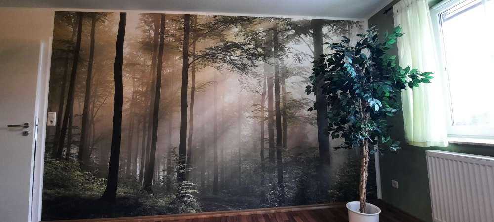 Green forest in the fog