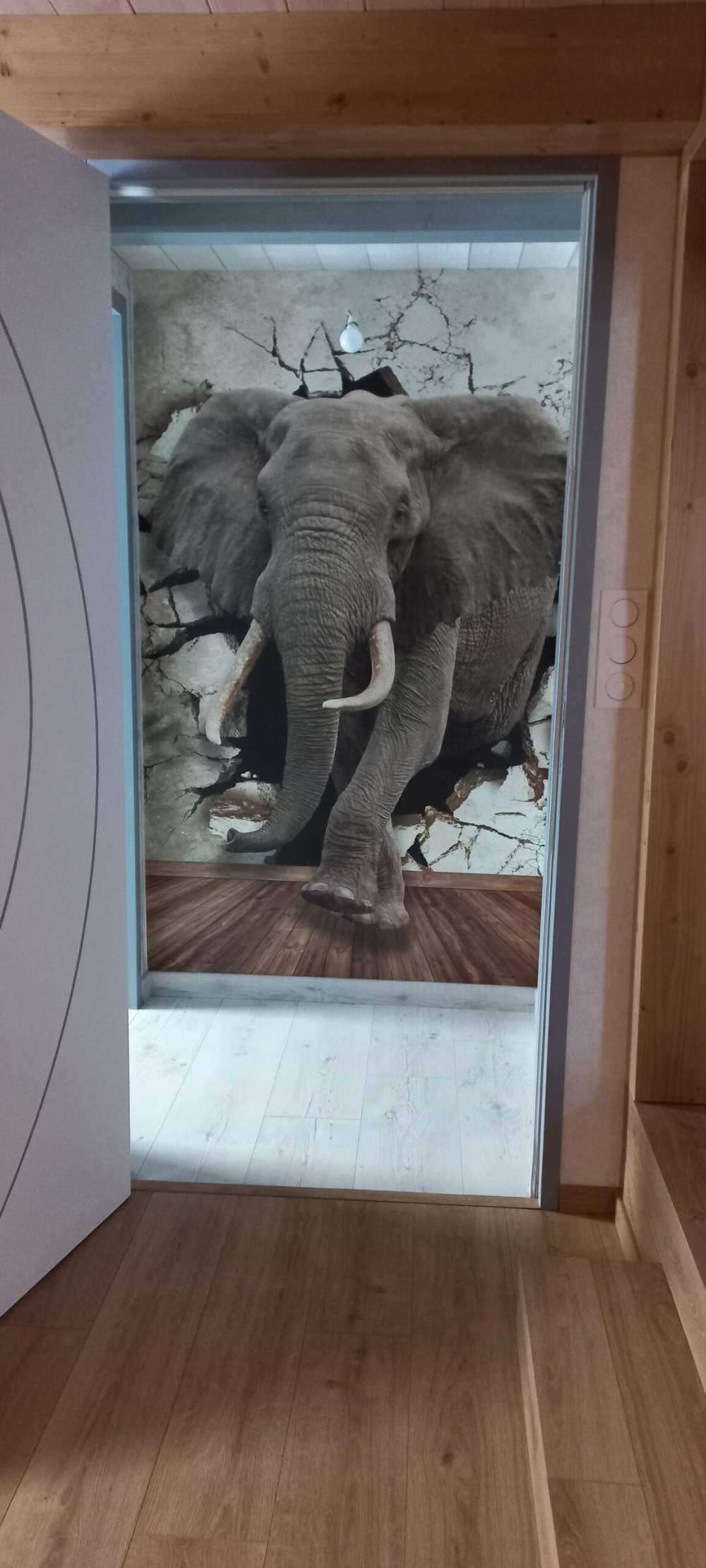 Big elephant out of the wall