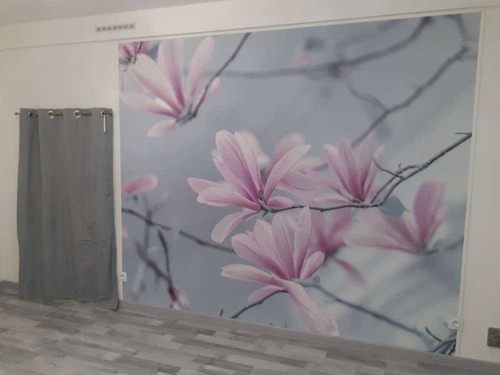 Magnolia flowers