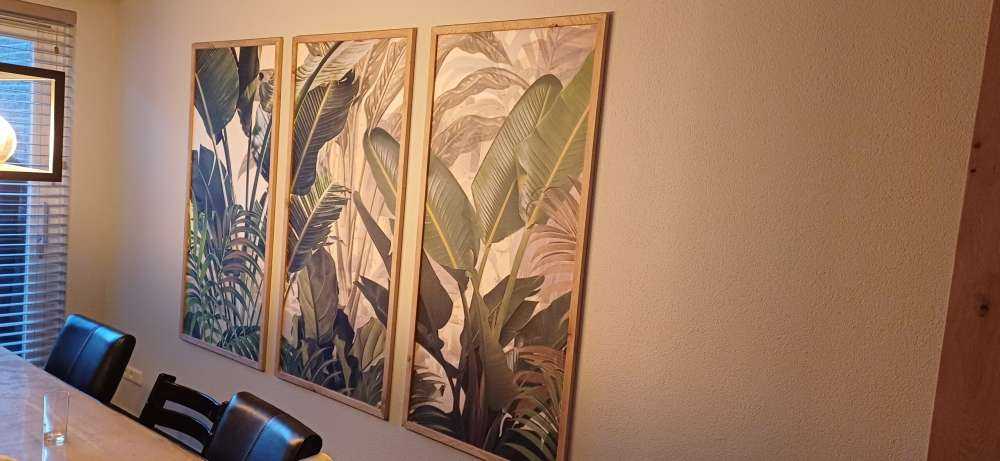 Plants in the jungle