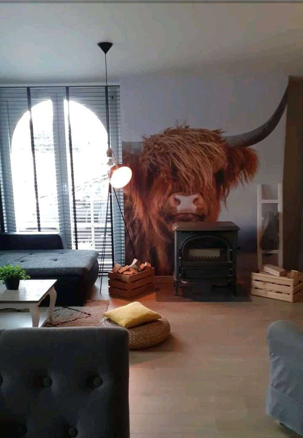 Staring Scottish Highlander