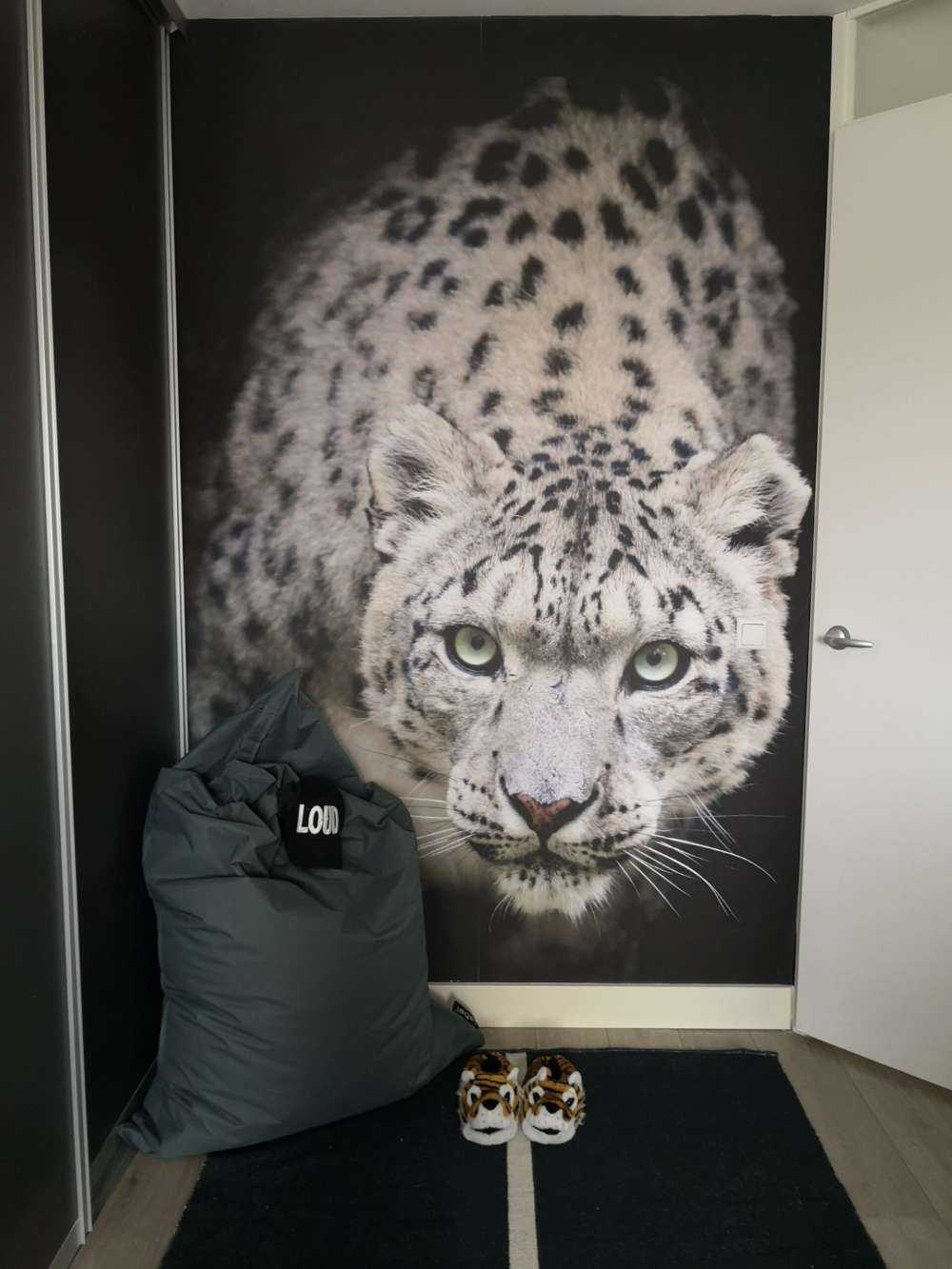 Snow leopard