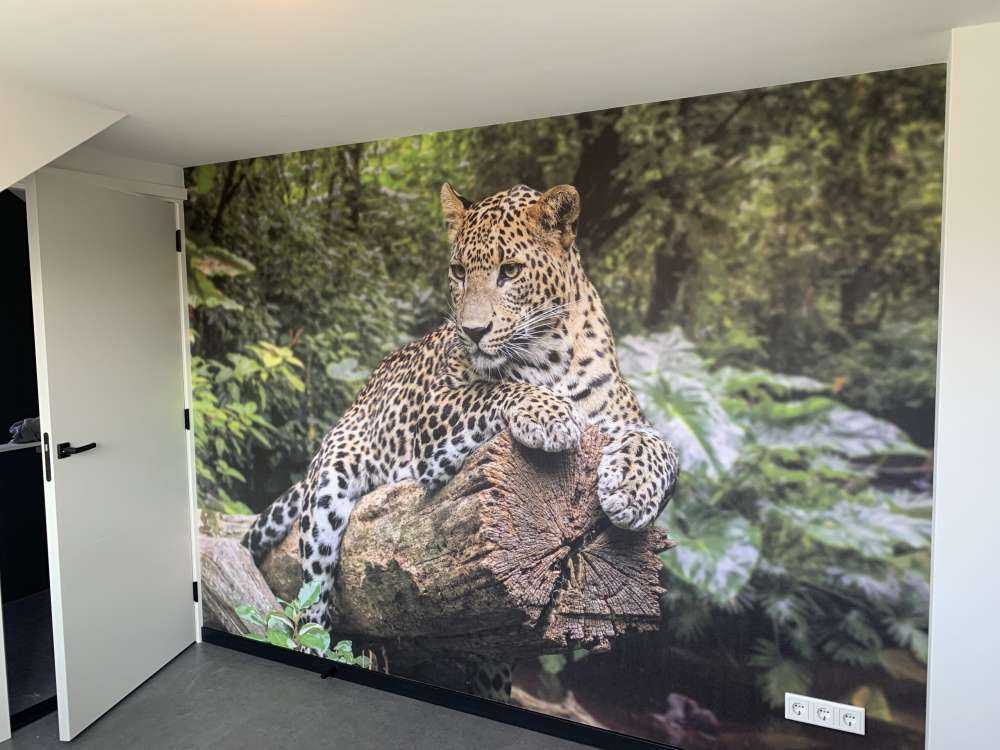 Leopard on tree