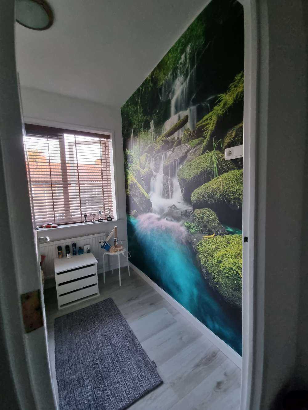 Waterfall in a jungle