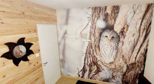 White owl in a hollow tree