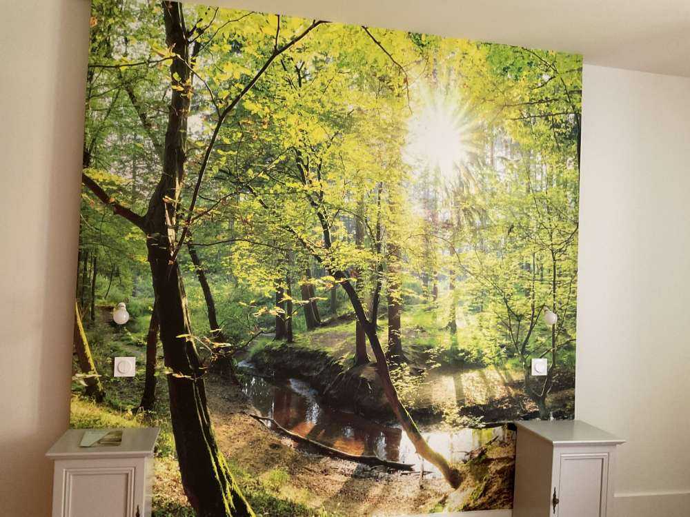 Forest with brook